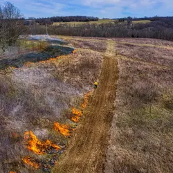 March 2020 (Shaker Village of Plesant Hill)